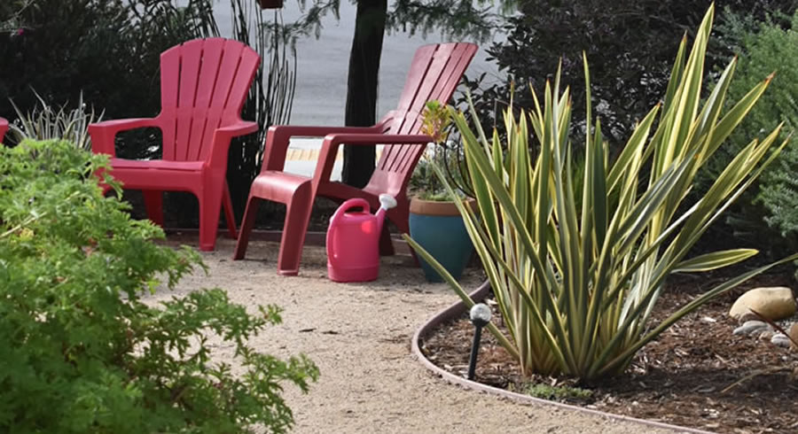 Pollinator Garden